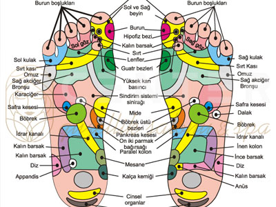 Ayak Masajı Refleksoloji